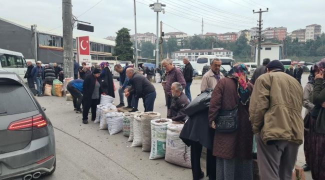 - Türkiye'nin dört bir yanından 'Alaplı Kuzusu' almak için ilçeye akın ettiler