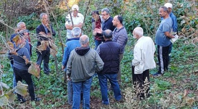 Fındıkta verimliliğin bu eğitimlerle artırılması planlanıyor