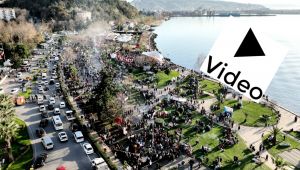 TONLARCA DAĞITILDI - EREĞLİ HAMSİYE DOYDU (Video-Foto galeri)