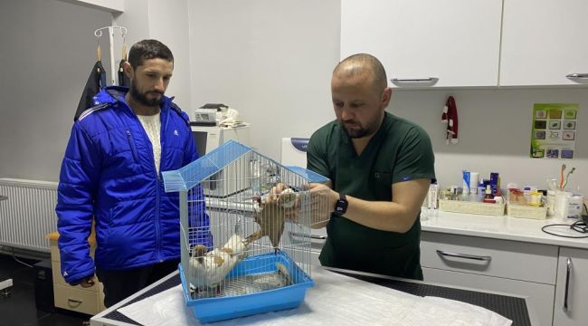 Enkazda ölen 4 kişilik ailenin güvercinleri madenciye hatıra kaldı