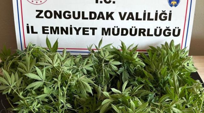 - Kdz. Ereğli'de uyuşturucu operasyonu