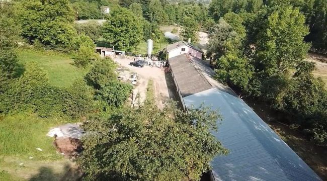 - Sele teslim olan köydeki tavuk çiftliğinde 8 bin 400 tavuk telef oldu