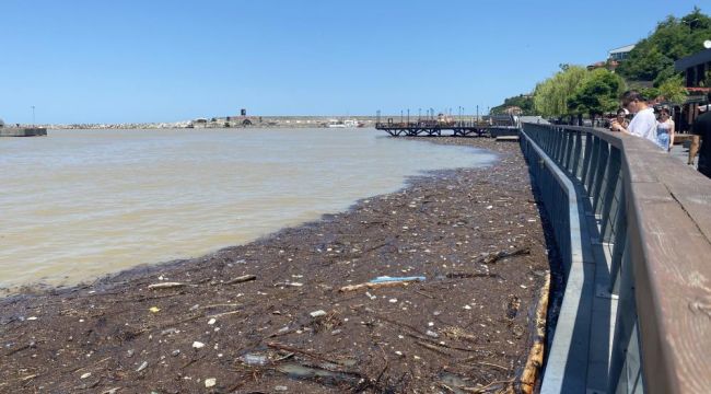 - Yağmur sonrası çöp ve odun parçaları limanda toplandı