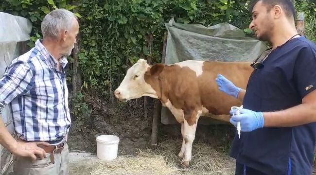- Zonguldak'ta 120 köy karantina ve gözetim altına alındı