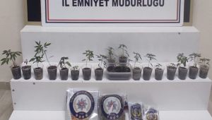 - Zonguldak'ta 6 ayda 282 uyuşturucu operasyonunda 444 şüpheli yakalandı
