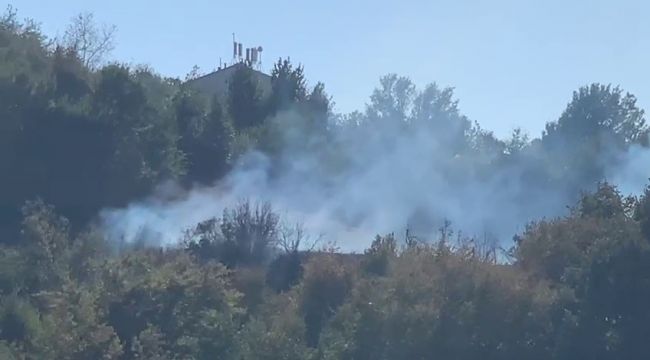 - Çalılıkta çıkan yangın ormanlık alana sıçramadan söndürüldü