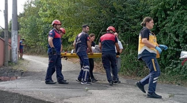 - Fındık toplarken ağaçtan düşen kişi ayağını kırdı