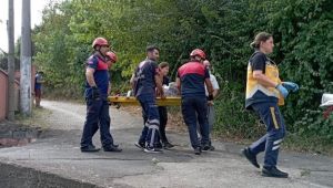 - Fındık toplarken ağaçtan düşen kişi ayağını kırdı