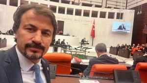 Vekil Ertuğrul, 