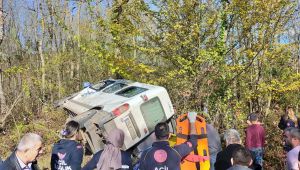 - Yolcu minibüsü yoldan çıktı: 1 ölü, 11 yaralı