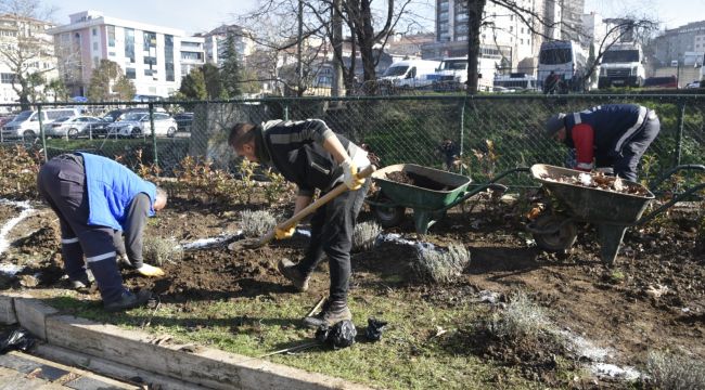 KDZ. EREĞLİ LAVANTA KOKACAK