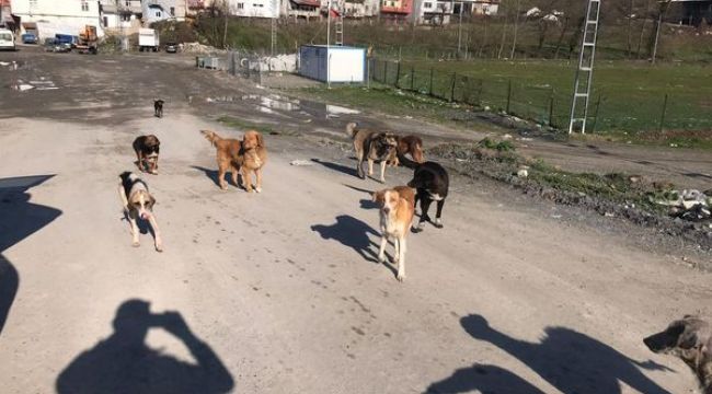 - MUHTAR KARACA TEPKİ GÖSTERDİ: MOLLABEY BARINAK DEĞİL