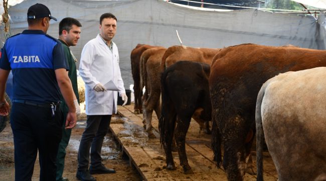BELEDİYE KURBAN PAZARINI DENETLEDİ, KURBAN YAKALAMA TİMİ KURDU