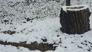 NİSAN AYINDA KAR SÜRPRİZİ...