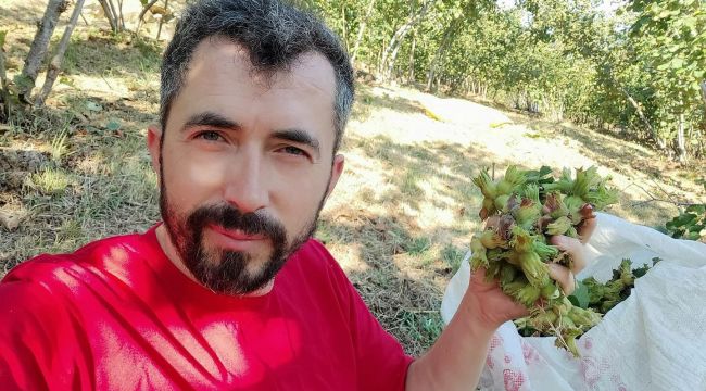 Alaplı’da fındık hasat tarihleri belli oldu