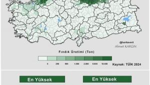 ALAPLI VE EREĞLİ İL 10 DA...