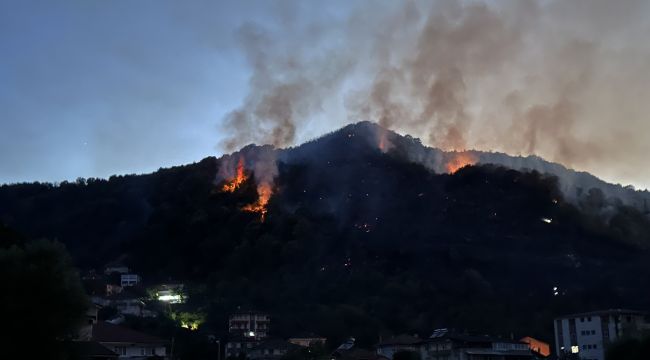 Orman yangını 3,5 saat sonra kontrol altına alındı