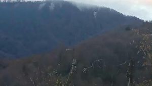 YILIN İLK KARI GÜMELİ YAYLASINA DÜŞTÜ ...