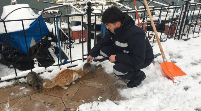 KDZ. EREĞLİ BELEDİYESİ SOKAKTAKİ CANLARI UNUTMADI 