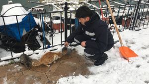 KDZ. EREĞLİ BELEDİYESİ SOKAKTAKİ CANLARI UNUTMADI 
