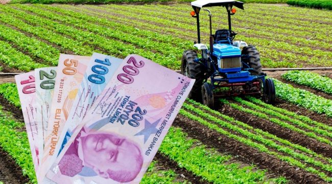 Çiftçilere Yüzde 50 Destekli Fidan Duyurusu