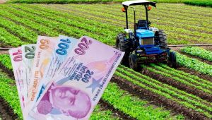 Çiftçilere Yüzde 50 Destekli Fidan Duyurusu