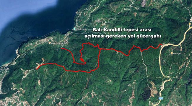 “BALI – KANDİLLİ TEPESİ ARASI ORMAN YOLU MUTLAKA AÇILMALI”