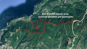 “BALI – KANDİLLİ TEPESİ ARASI ORMAN YOLU MUTLAKA AÇILMALI”