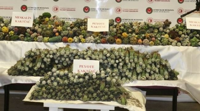 ALAPLI’DA İKİ KİŞİ UYUŞTURUCU OPERASYONU: 2 GÖZALTI