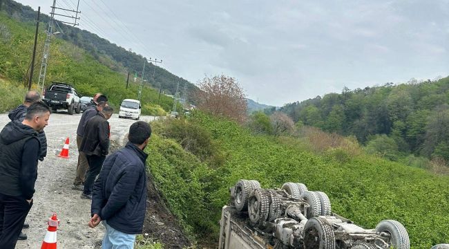 TAŞ YÜKLÜ KAMYON KAZA YAPTI
