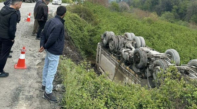 TAŞ YÜKLÜ KAMYON KAZA YAPTI